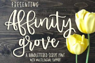 Affinity Grove: A Thoughtful Script Font for Editorial Warmth