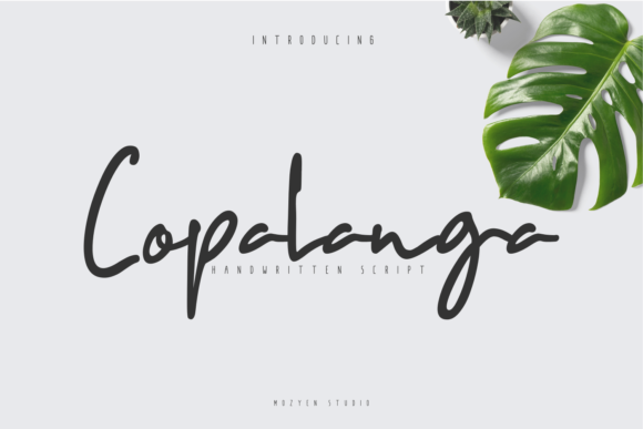 Copalanga: A Script Font That Makes Your Campaign Feel Human
